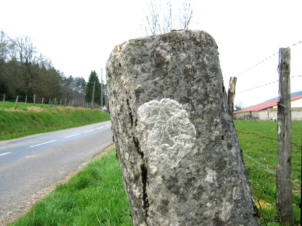 01germ052593.JPG