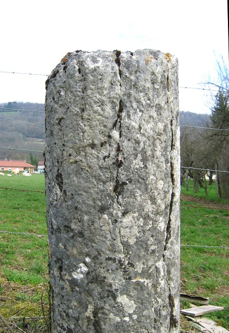 01germ062600.JPG