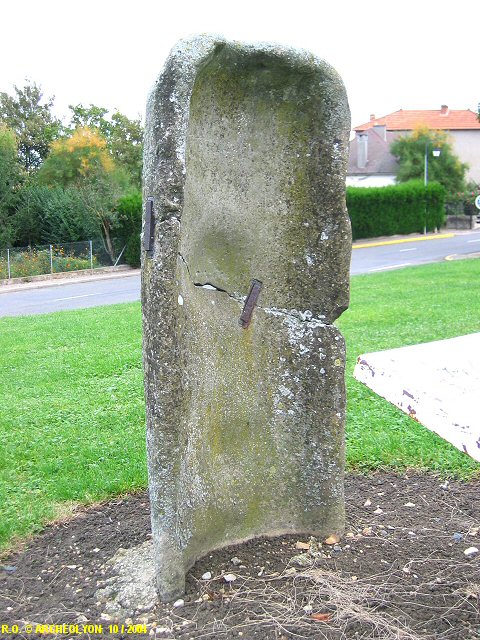 03bioz044319.JPG