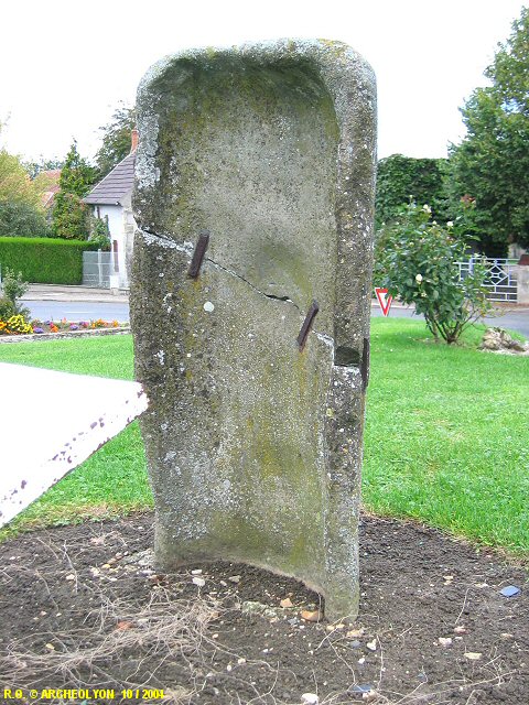 03bioz054320.JPG
