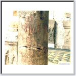26aure073674.JPG