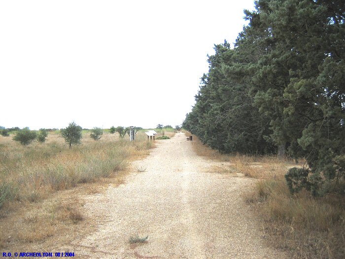 30bea0034023.JPG