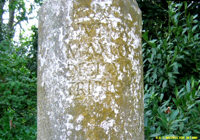 30gal1043778.JPG