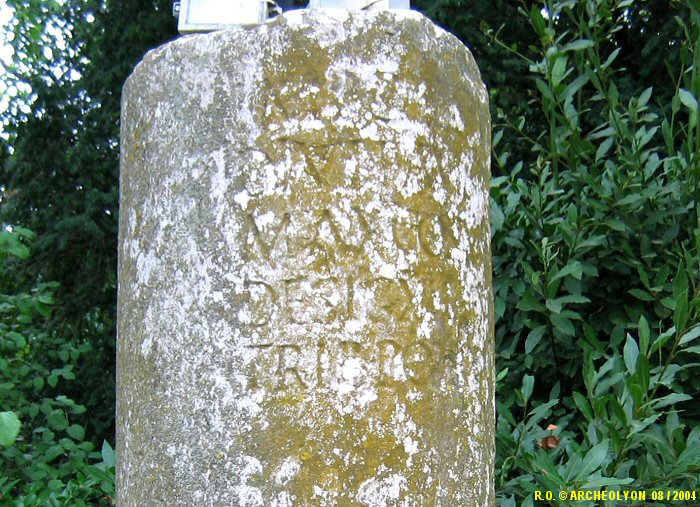 30gal1063782.JPG