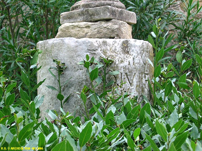 30gal2033815.JPG
