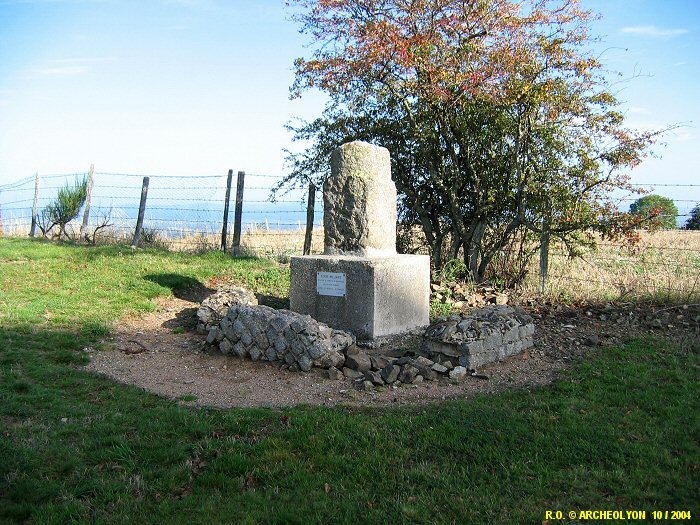 42stms014442.JPG