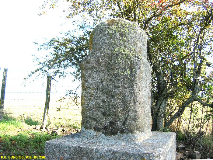 42stms044466.JPG