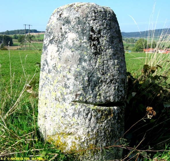 43stja044261.JPG